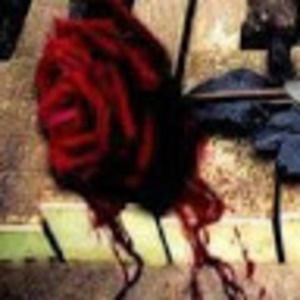 Meet your Posher, Delia